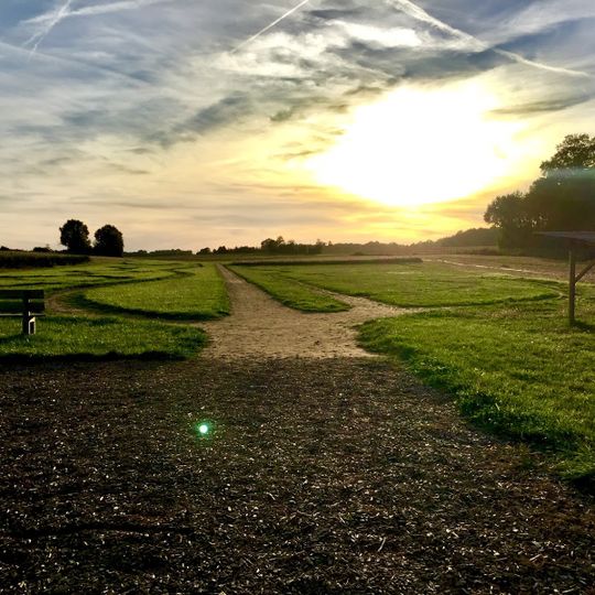 Labyrinthe Végétal