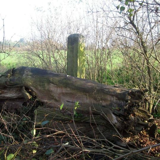 Kříž u remízku jihovýchodně od Bělčic