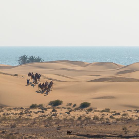Sistan e Baluchistan