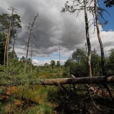 Bergen - Weissacker Moor