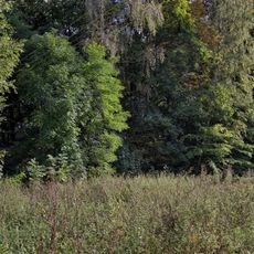 Park of Wola Wydrzyna Palace