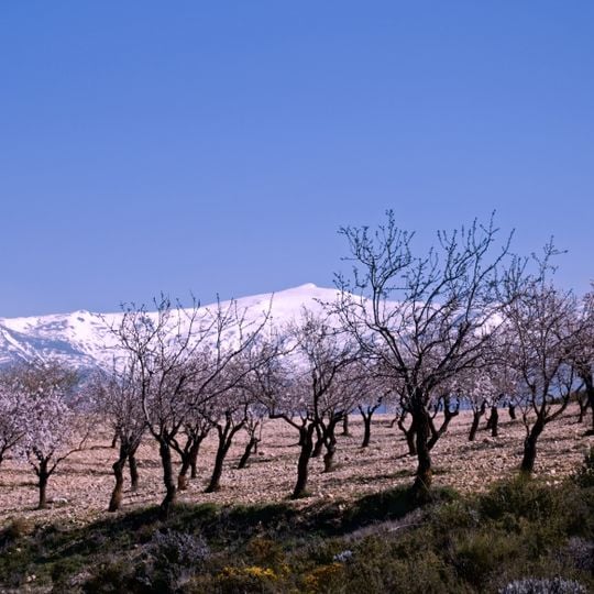 Pico del Caballo