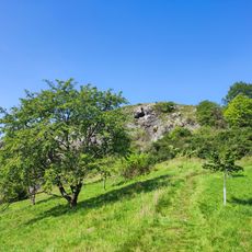 Cherry orchard in Liboc