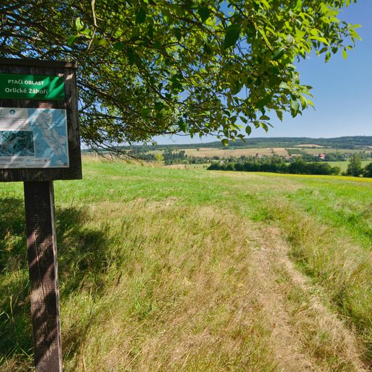 Ptačí oblast Orlické Záhoří