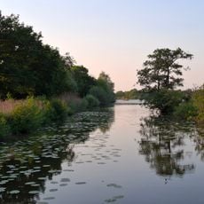 Réserve naturelle nationale des étangs du Romelaëre