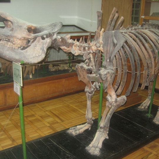 Binagadi asphalt lake