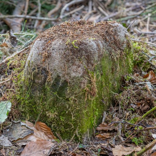 Grenzstein Untere Gemeinde in Fürth