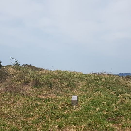 Burninburuko lepoa 1