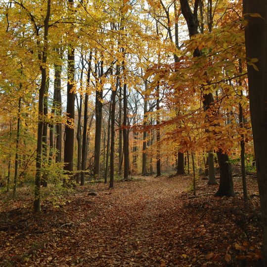 Watchung Reservation