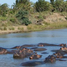 ISimangaliso-Wetland-Park