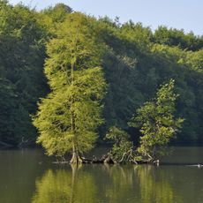 Vijvers van het park van Tervuren