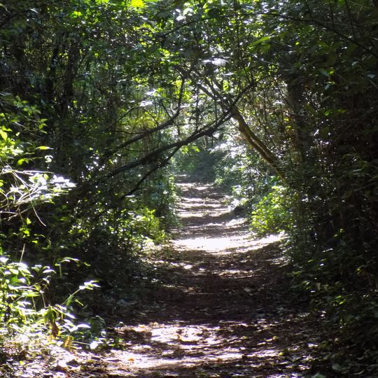 Parque Estadual de Ibiporã
