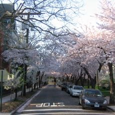 Wooster Square Historic District
