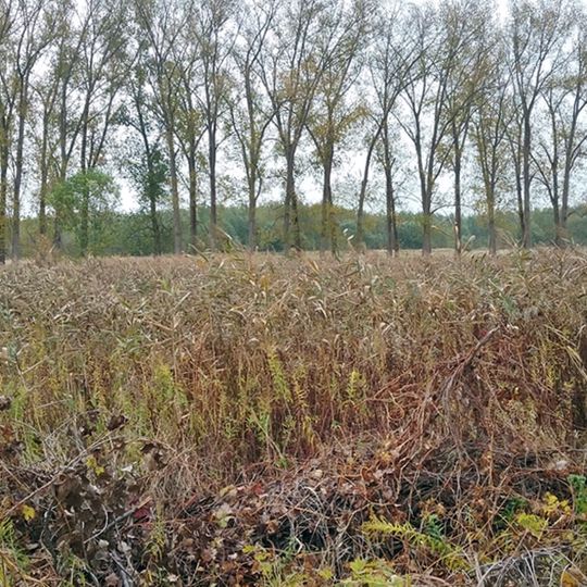 Luch an der Margaretenhöhe