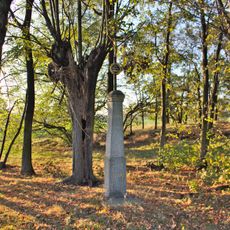 Betkreuz (Feldweg von Dürrwicknitz Richtung Panschwitz-Kuckau)
