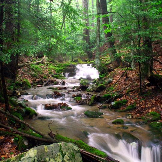 Holly River State Park