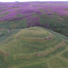 Bewick Hill Moor camp, Old Bewick