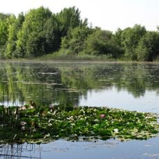 Baggersee am Hart
