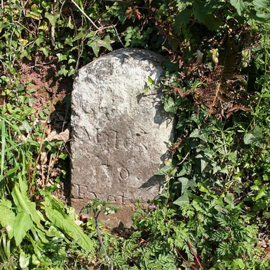 Milestone At Sx 891 886