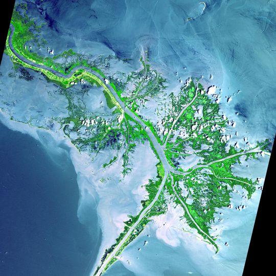 Mississippi River Delta