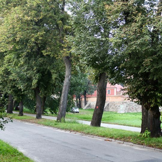 Lipowa Street in Wschowa