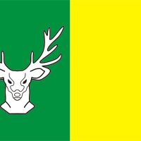 Raión de Oleksandrivka