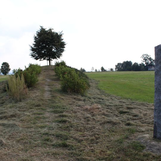 Památník bitvy u Jankova nad Jankovem