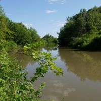 Pestrechinsky District