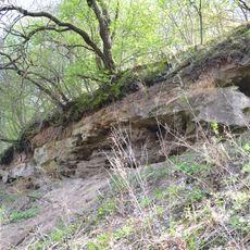 Kalniškių conglomerate