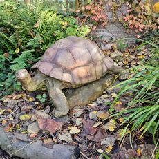 Keramik-Riesenschildkröte
