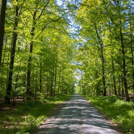 Haßbergetrauf und Bundorfer Wald