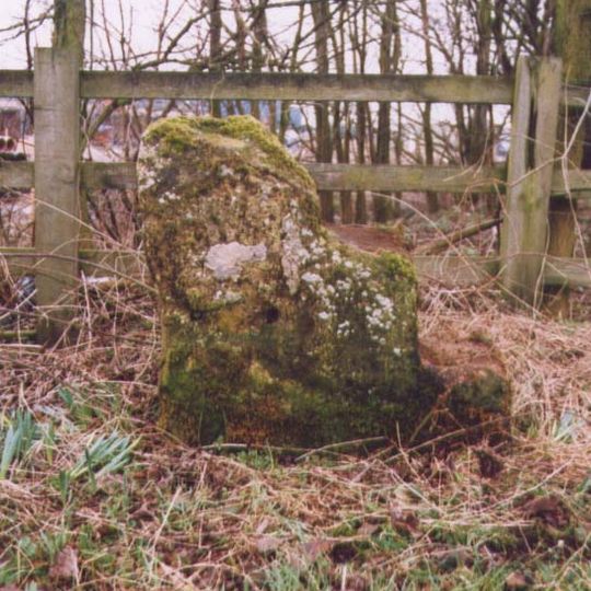 Milestone, 50m W of Becklands Park entrance