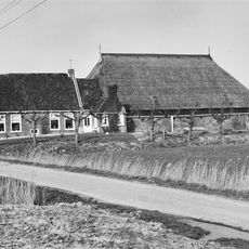 Kop-hals-rompboerderij
