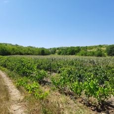 Băcioi III settlement