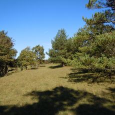 Wacholderheide Tauschfeld