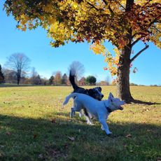 Crooked Creek Lake Recreation Area