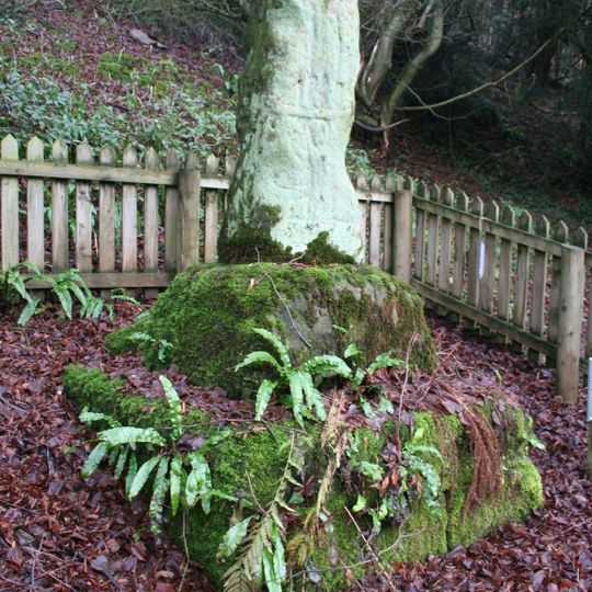 Anglo-Scandinavian cross, 240m south west of Ilam Hall