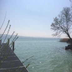 Grandson–Corcelettes Les Violes