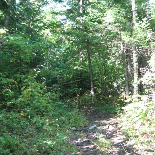 Serpentine-de-Coleraine Ecological Reserve