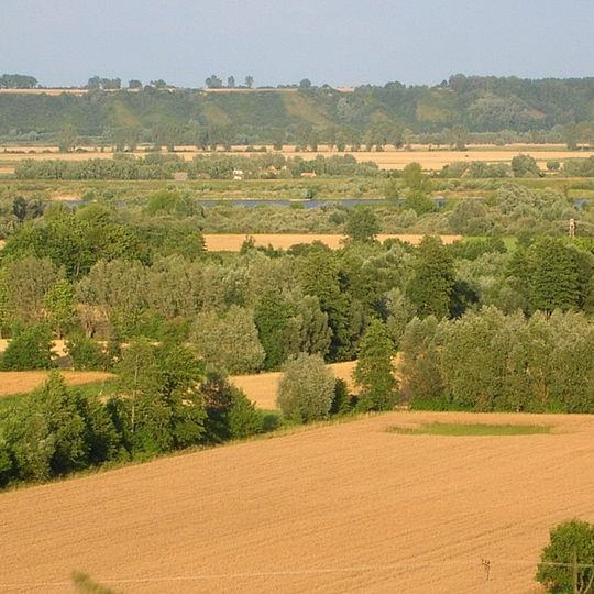 Rezerwat przyrody Płutowo