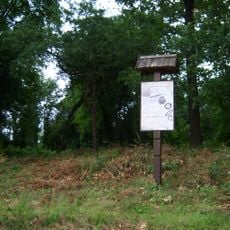 Maisiejūnų pilkapiai