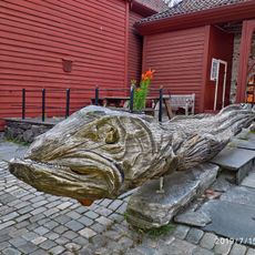 A fish