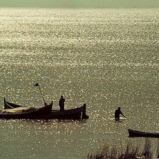 Taim Ecological Station