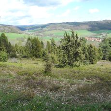 Wacholderheide bei Vockerode-Dinkelberg
