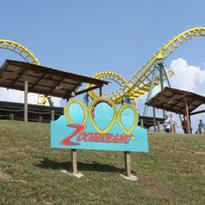 Zoomerang