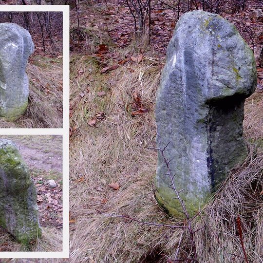 Steinkreuz Alte Obererzgebirgische Poststraße -