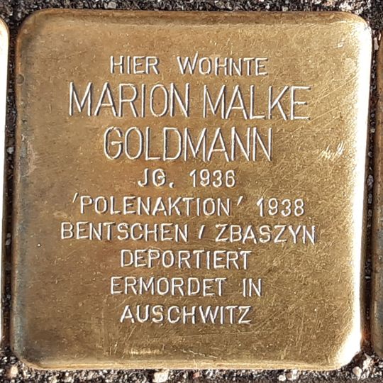 Stolperstein für Marion Malke Goldmann