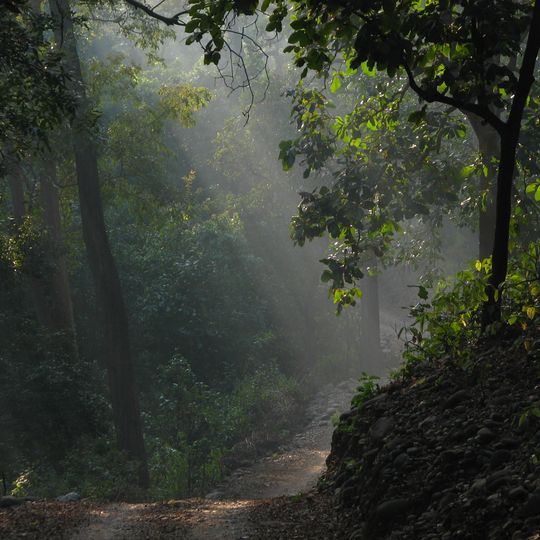 Parco nazionale di Jim Corbett