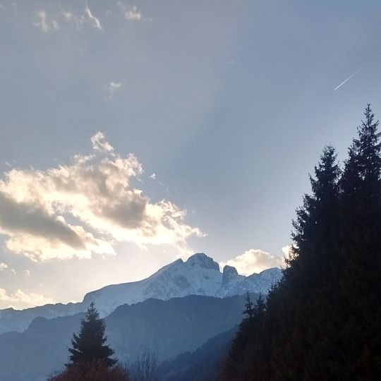 Riserva naturale Boschi del Giovetto di Palline