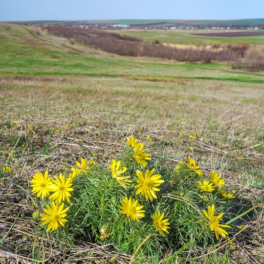 Stari Mayaky Hromada